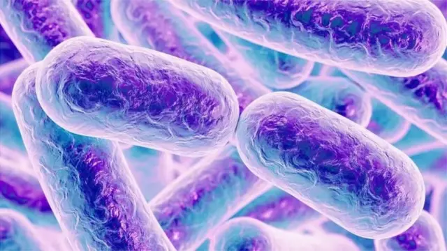 टीबीचे जंतू