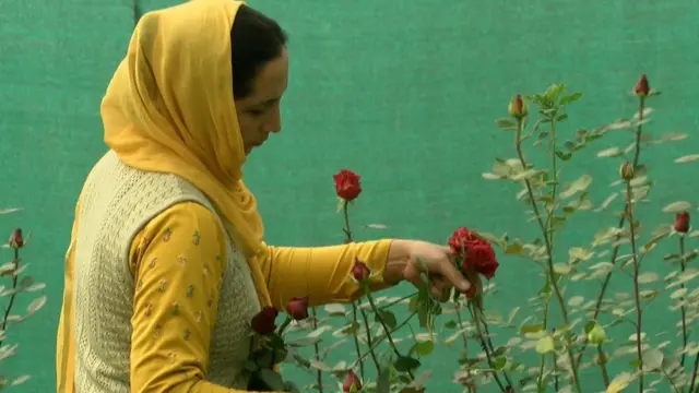 रूबीना तबसुम