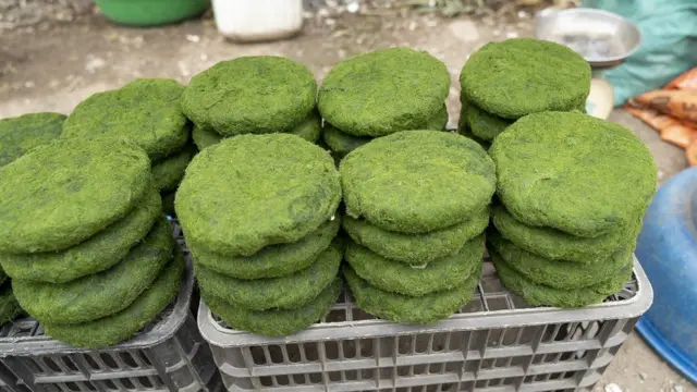 Empadascomo apostarcomo apostar em corrida de cavaloscorrida de cavalosspirulina vendidas num mercado local