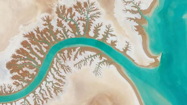 Laguna Shadegan, Iran