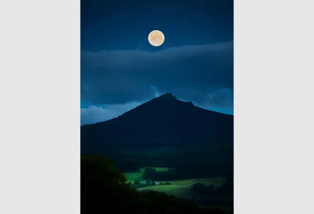 A Midsummer Night's Dream by Nikki Munro