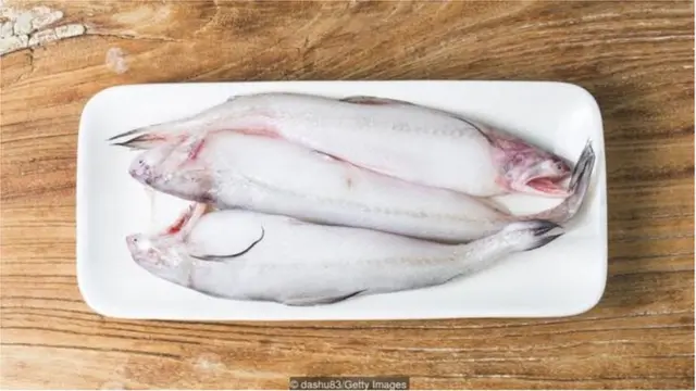 बोंबिल, बॉंबे डक, BOMBAY DUCK