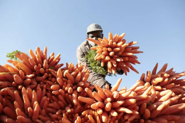 Ku wa gatatu w'iki cyumweru, uyu mugabo atanditse karoti mu isoko rya Mbare mu nkengero z'umurwa mukuru Harare muri Zimbabwe ategereje abaguzi