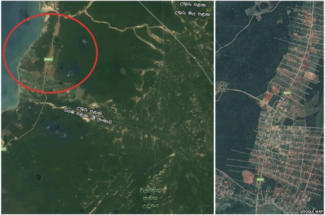 විල්පත්තුව