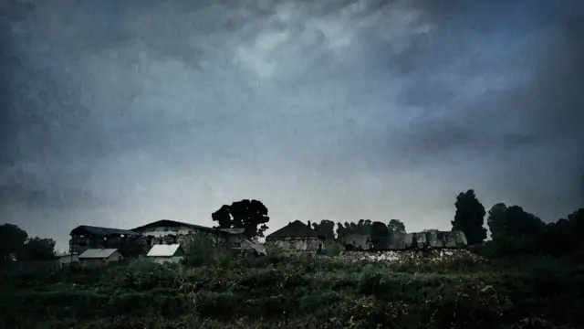 Иллюстрация Олеси Волковой