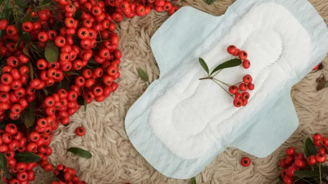 सॅनिटरी पॅड