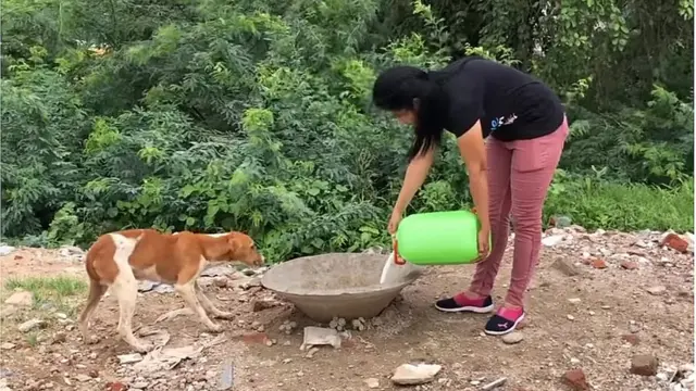 અમદાવાદ, શ્વાન, પ્રેમ