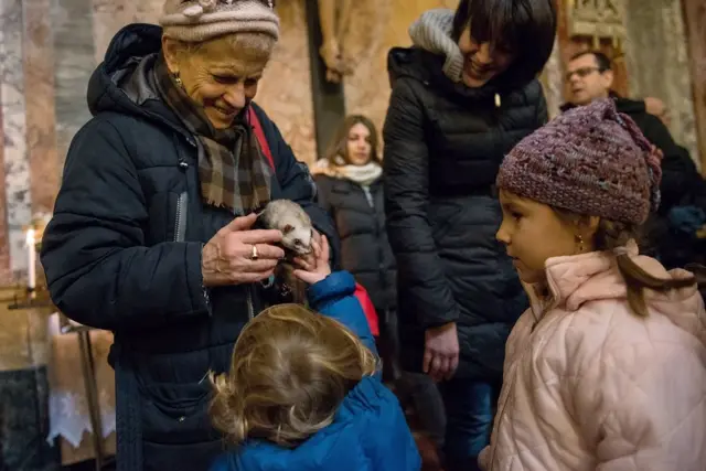 कुठल्याही प्राण्याचा लाड केल्याशिवाय तुम्ही कसे राहू शकता?