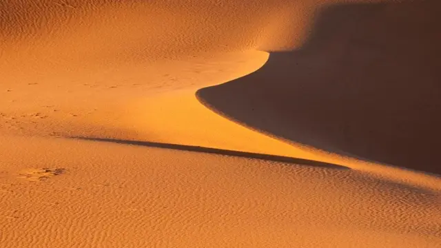 የበረሃ አሸዋ