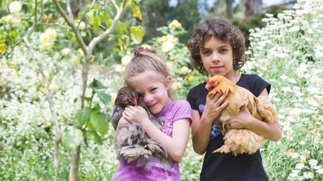 девочка и мальчик