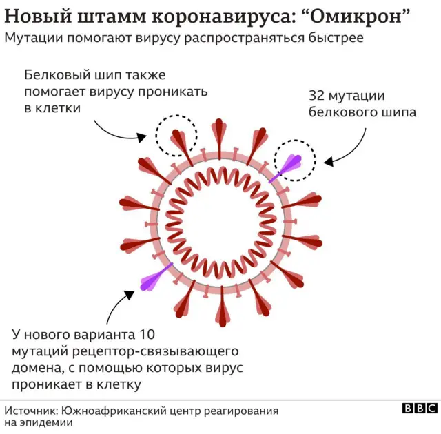 Штамм "Омикрон", иллюстрация
