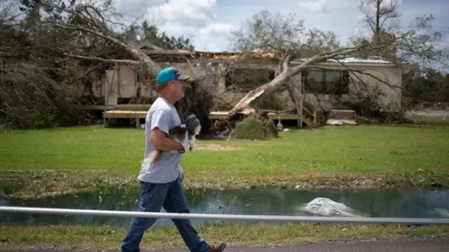 افتادن درخت روی خانه ای در سولفور لوئیزیانیا