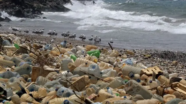 plastic pollution