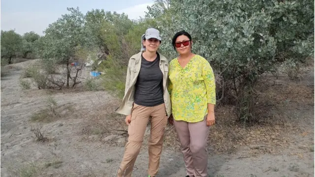 Мария Грицина, Ўзбекистон Республикаси Фанлар Академияси Зоология институтининг териологи