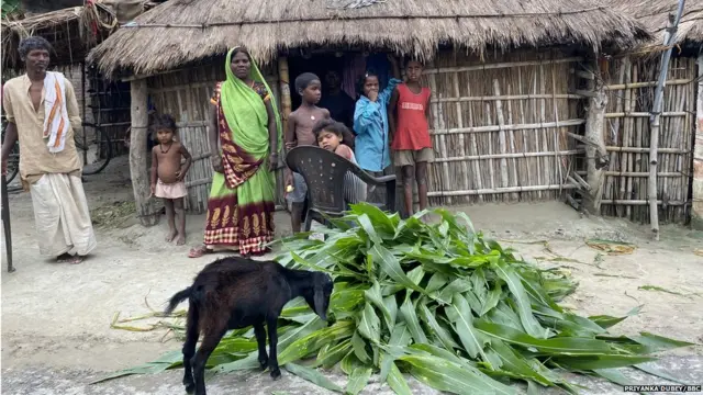 मठिया माफ़ी मुसहर पट्टी गाँव