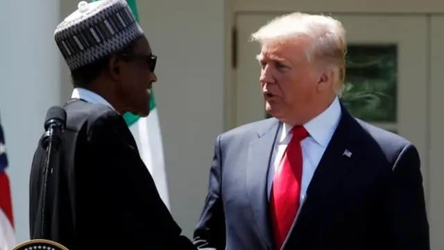 Ọmasịghi ụfọdụ ndị na-akwado Trump na Naịjirịa oge o zutere Onyeisiala Buhari n'Amerịka