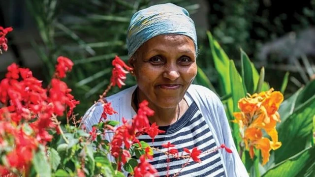 Mamitu Gashe.