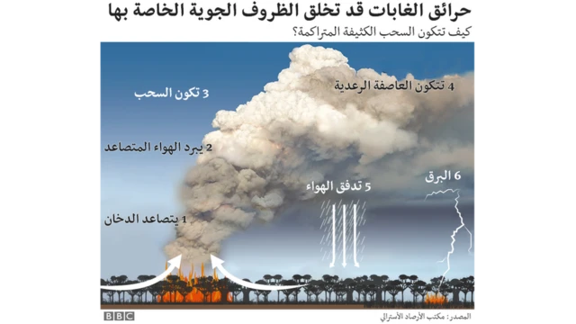 حرائق الغابات