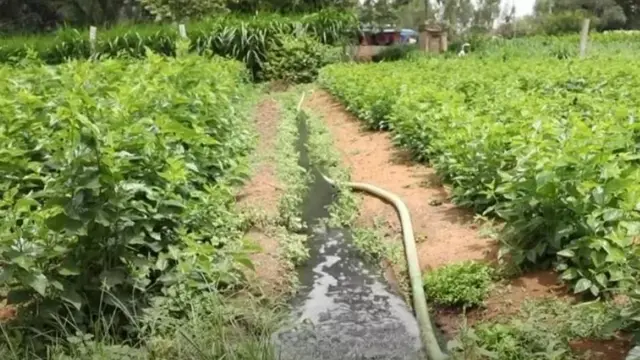 ভারত ব্যাঙ্গালোর পানি