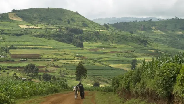 युगांडा