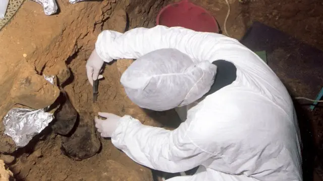 غار سیدرون در اسپانیا