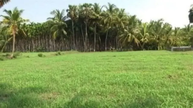 பசுமை வழிச்சாலை திட்டம்