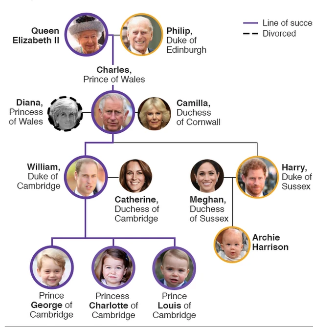 Royal Family tree graphic