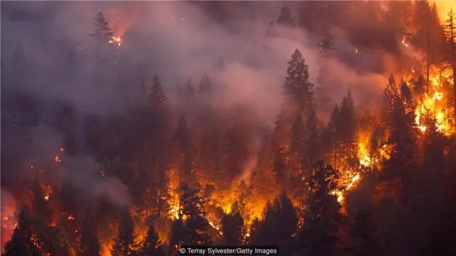 2018年7、8月间在美国加州卡尔发生的火灾蔓延了930平方公里。