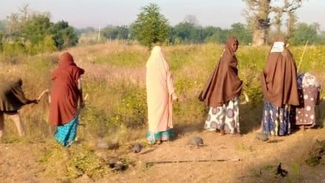 Dumarka qabuuraha ka shaqeeya ee gobolka Kano