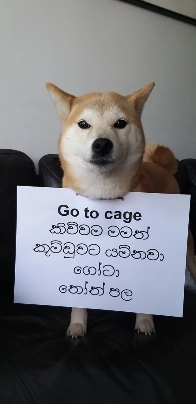 සුරතලුන් පවා විරෝධතාවන්ට එක්කර ගෙන තිබේ