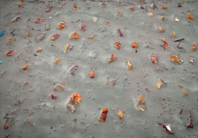 కొన్నిసార్లు పాజిటివ్ దృక్పథం అవసరమేనని కొందరు మోదీ ప్రభుత్వ ప్రచారాన్ని సమర్ధిస్తున్నారు.