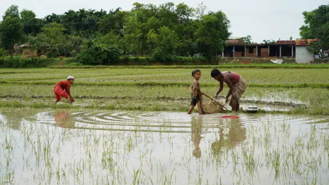 Лагерь беженцев Кутупалонг