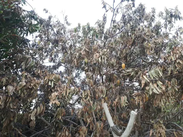 سیستان و بلوچستان