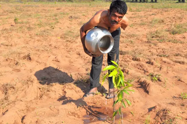 మూడేళ్ల కిందట మొక్కలకు నీరు పోస్తున్న బానోతు రాజు