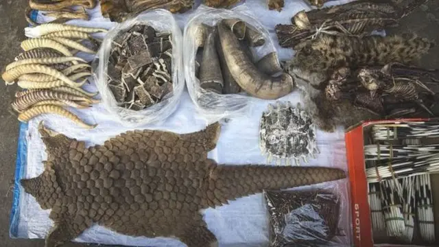 تجارت غیرقانونی حیوانات وحشی در میانمار