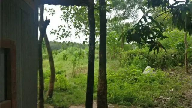 ডীমাতলীতে বাড়ির উঠোন লাগোয়া সীমান্ত পিলার।