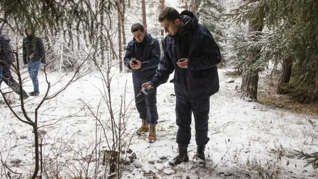 درخت کریسمس