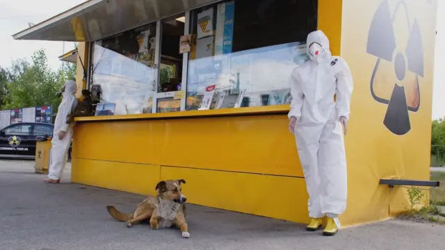 Собака в Чорнобилі