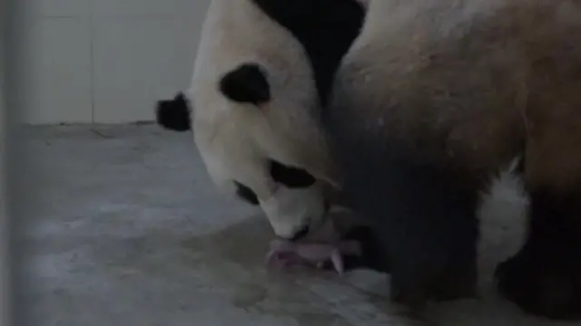 หลินปิง และลูก