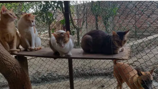 Men olatimni ishqaladim va u qizil dog qoldirdi.