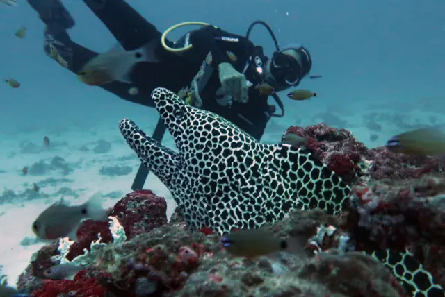 आंग्रिया बँक