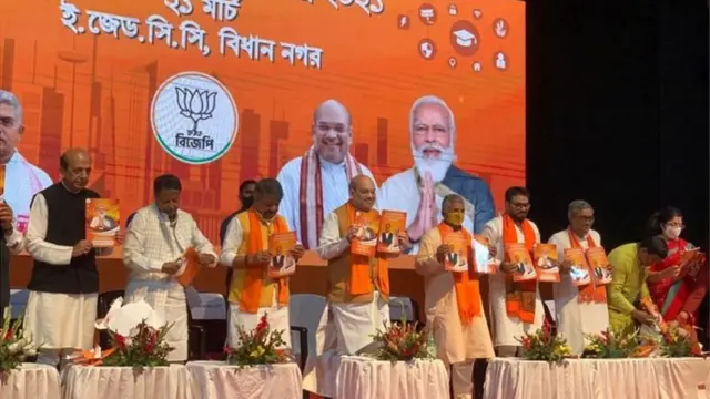 રાજકીય નિરિક્ષકો એવો સવાલ કરી રહ્યા છે કે બીજેપી તેના ચૂંટણી ઢંઢેરામાં આપેલાં વચનની પૂર્તિ માટેનાં નાણાં ક્યાંથી લાવશે?