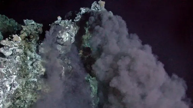 Формы жизни на дне земных океанов, возможно, могут подсказать нам, что именно мы можем найти на дне инопланетных океанов