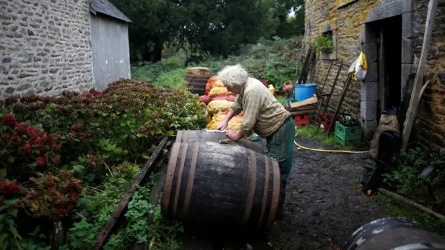 Жан-Бернар держит сидр в бочках