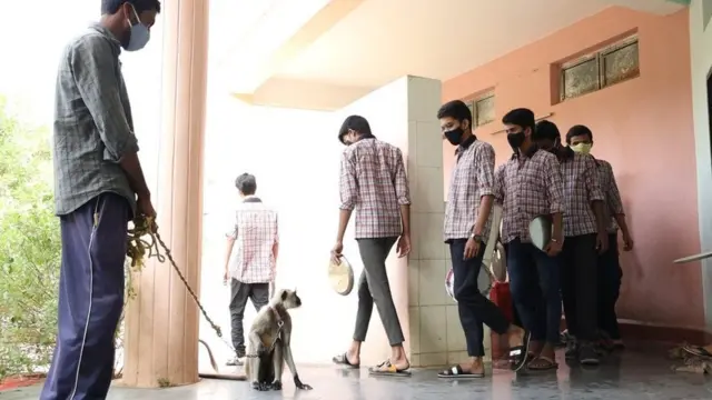 స్కూళ్లు, కాలేజీ హాస్టళ్ల దగ్గర కూడా కొండముచ్చుల కాపలా తప్పడం లేదు.