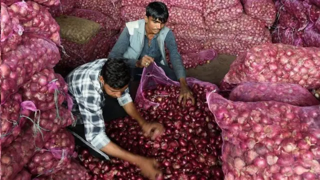 શાકમાર્કેટની તસવીર