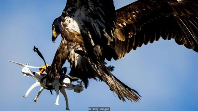 Drones
