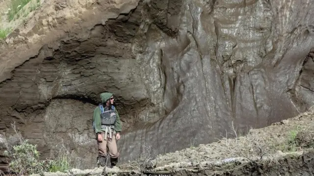 परमाफ़्रोस्ट