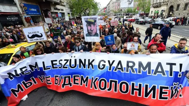 двохвоста собака