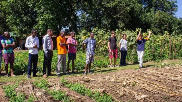 "السماد المعجزة" الذي سيغير مستقبل الزراعة في أفريقيا